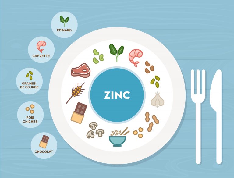Zinc, un oligoélément indispensable Naturopathe Bordeaux
